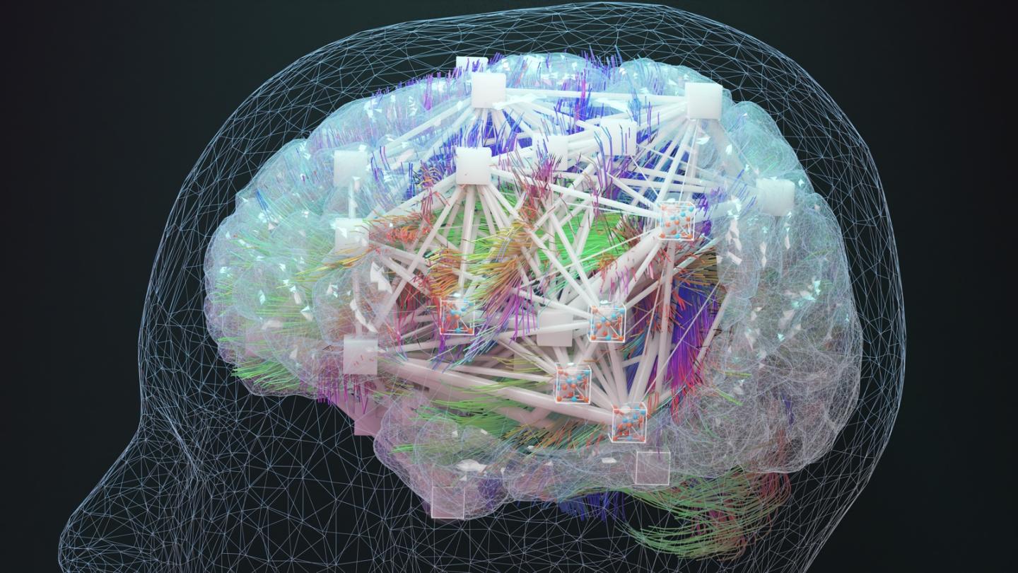 Illustration of a multi scale model of a human brain