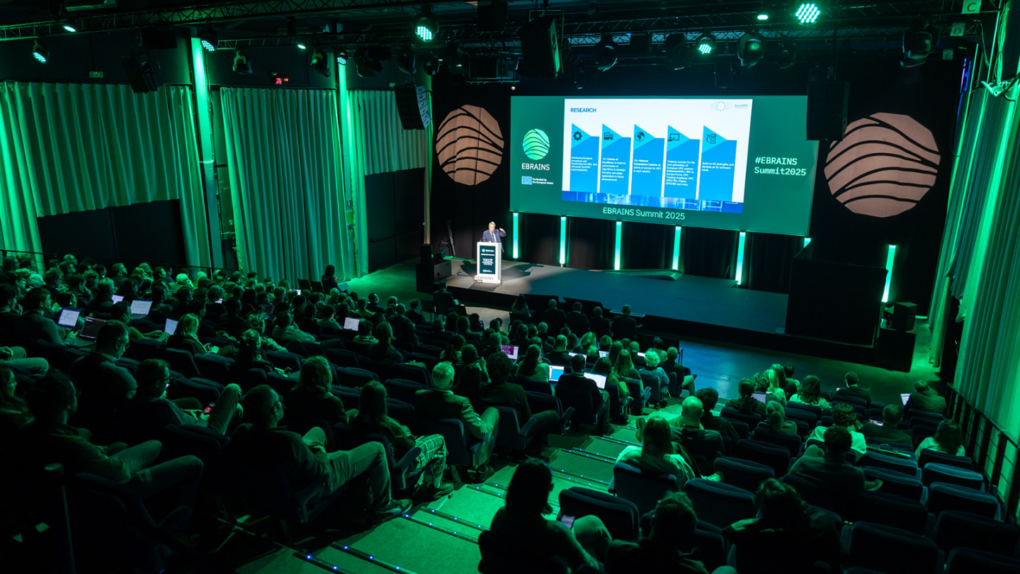 Photo of Anders Dam Jensen presenting at the EBRAINS Summit 2025