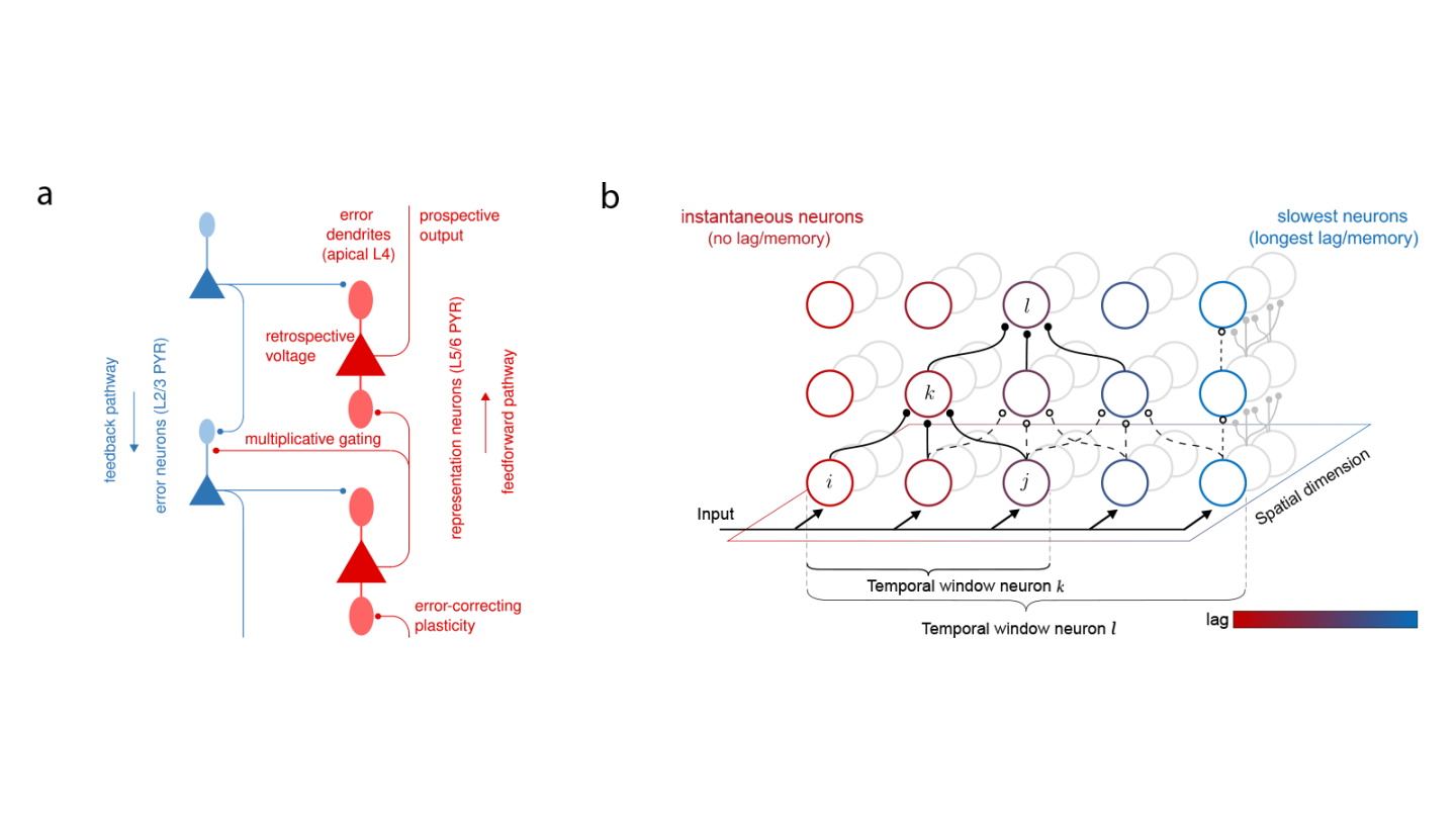 A schematic of backpropagation through space and time in deep cortical networks