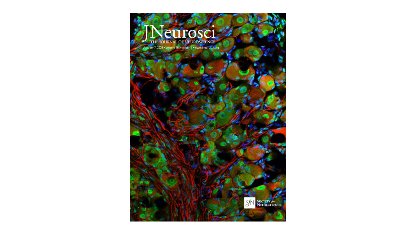Cover of the Journal of Neuroscience