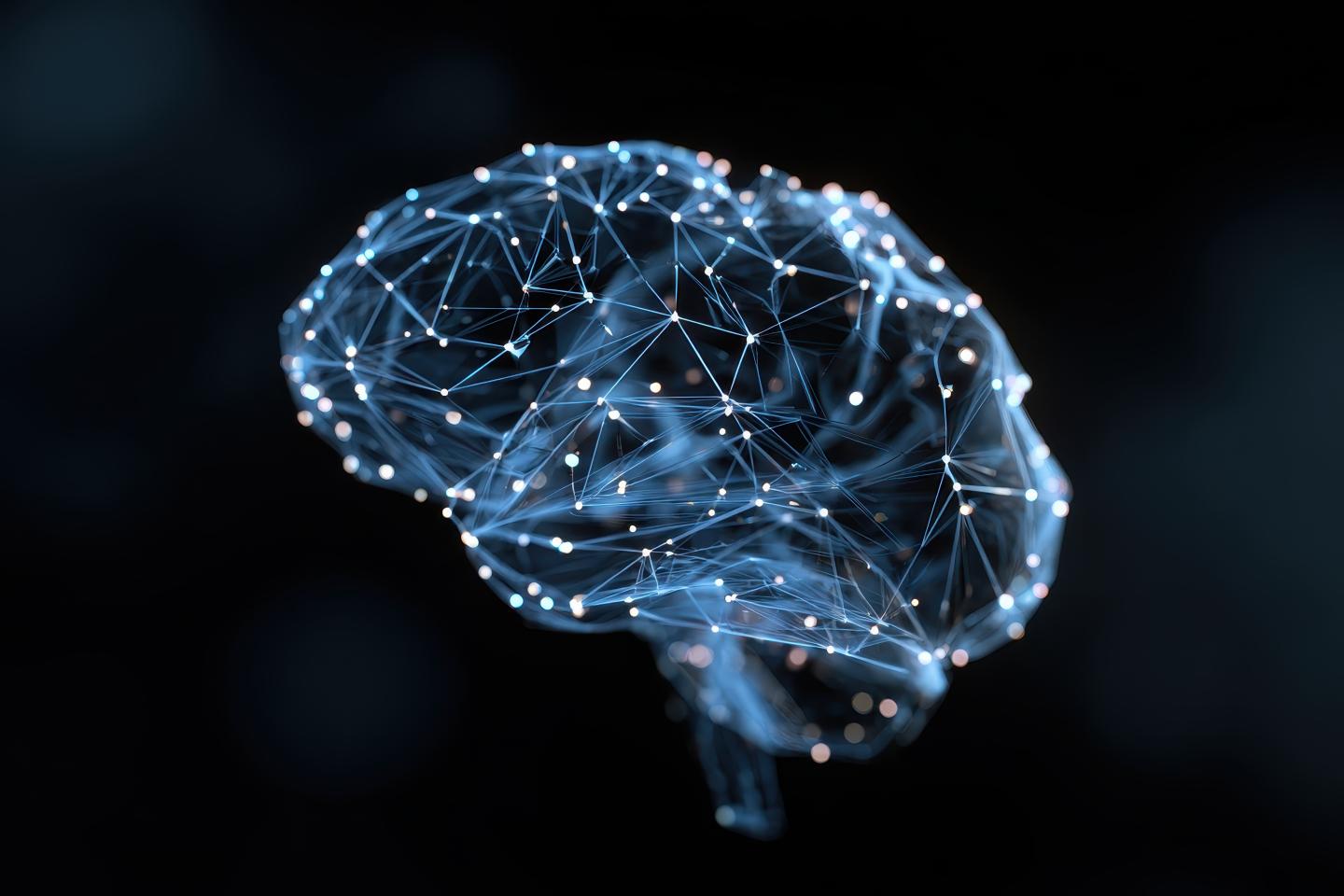 Illustration of a brain