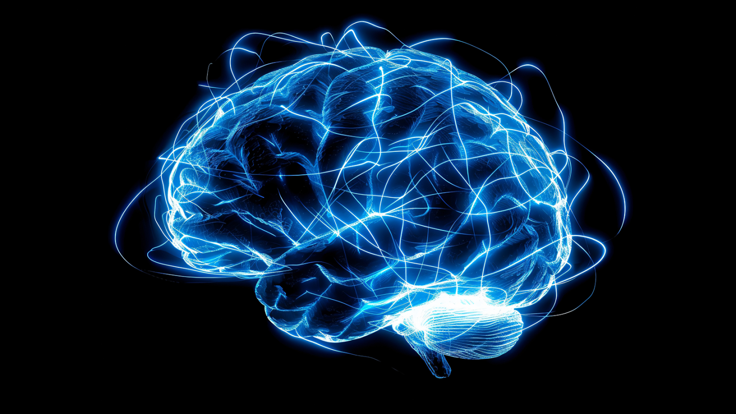 Illustration of a brain