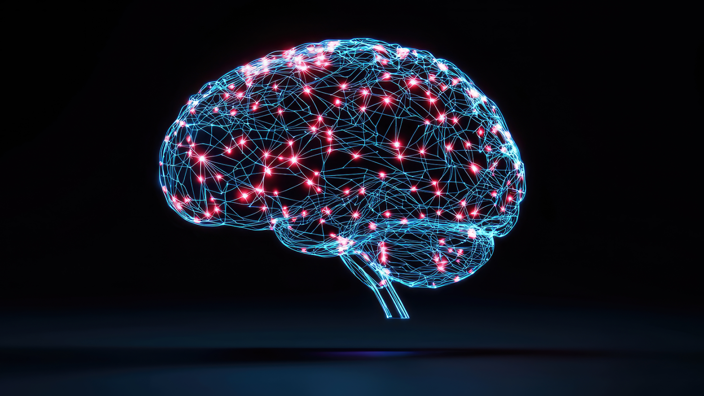 Illustration of a brain