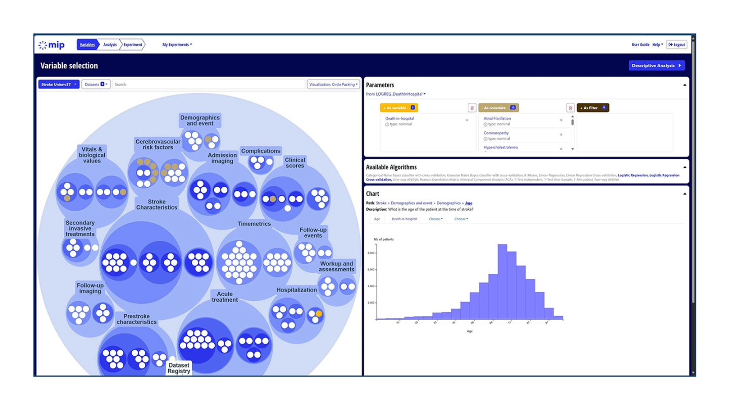 Screenshot of the MIP interface
