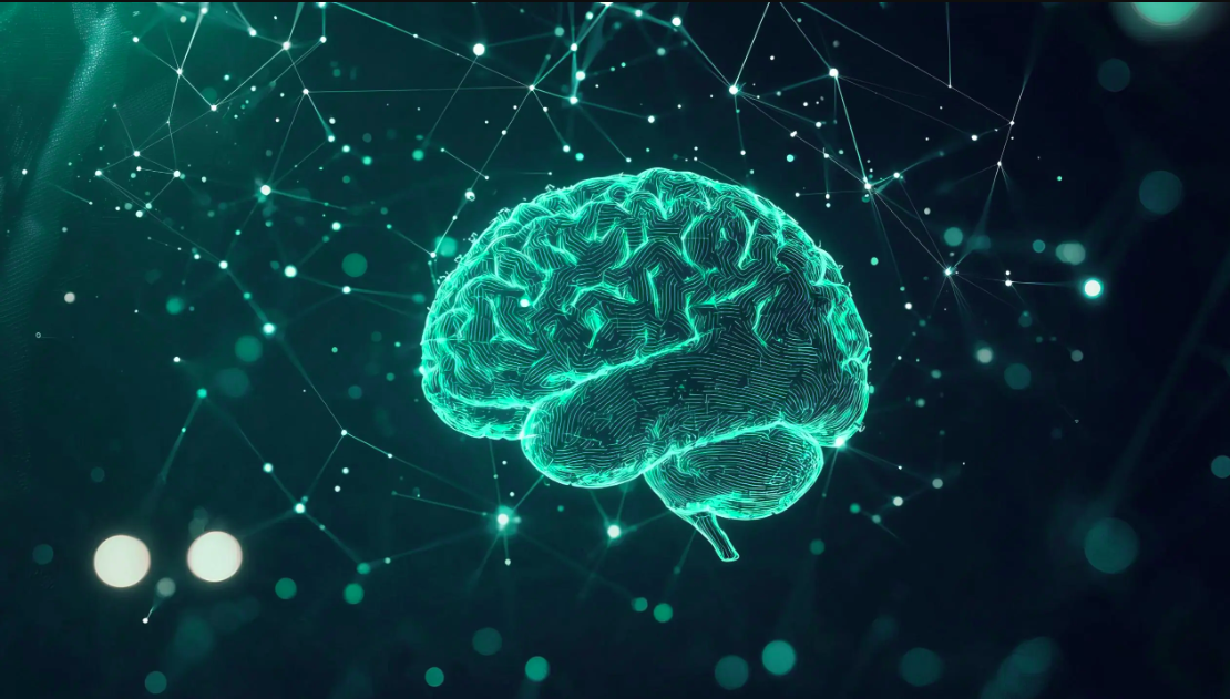New computer model of the human cortex links regional chemistry to whole brain activity. Image: Adobe Stock