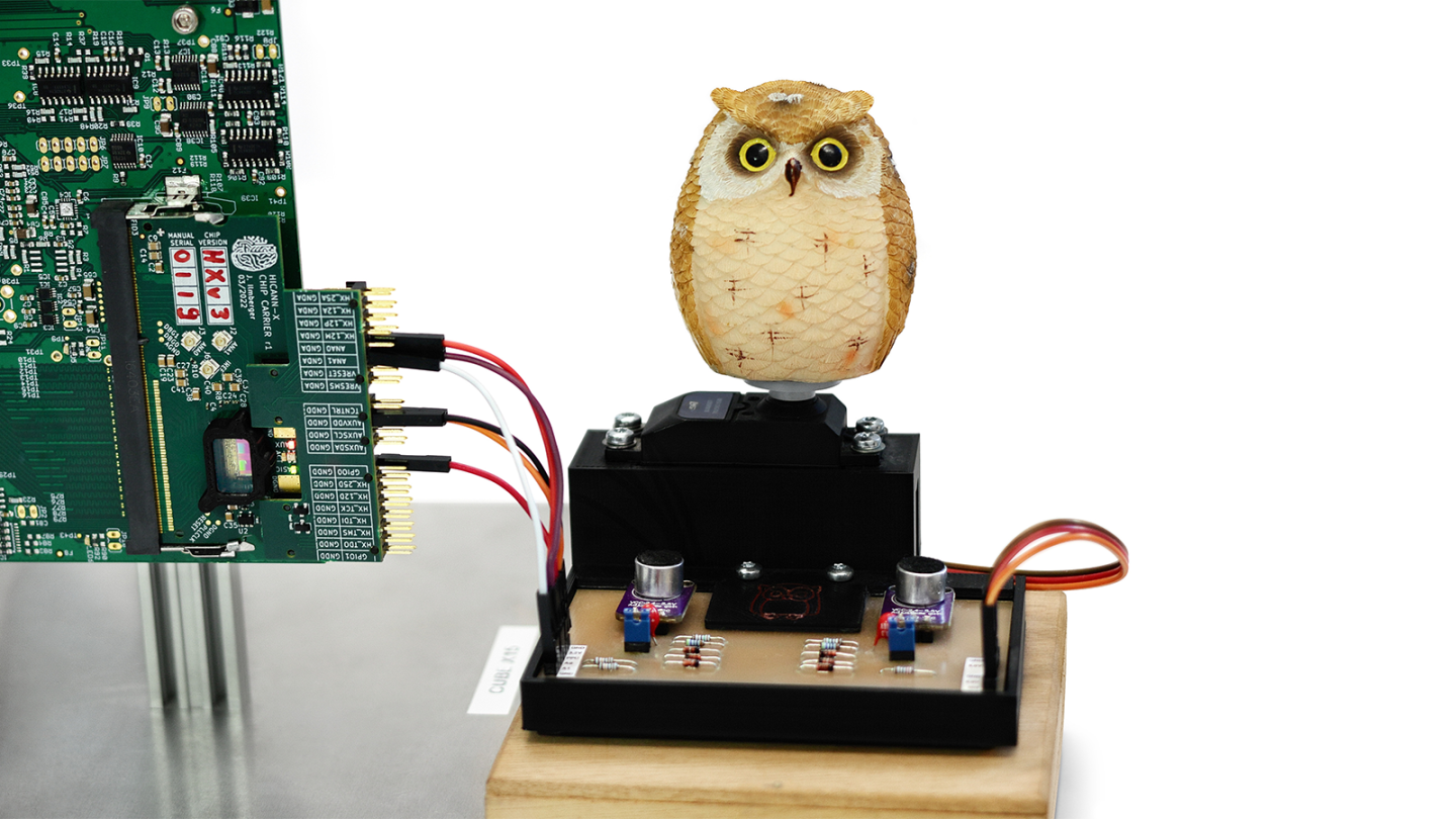 Image of owl figure and servo motor