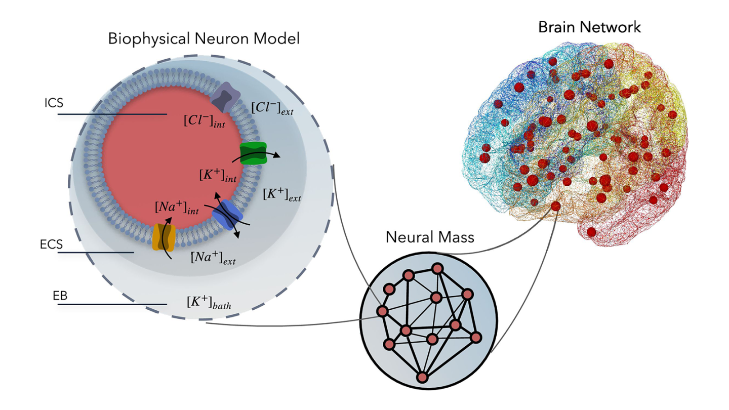 A new mean-field model