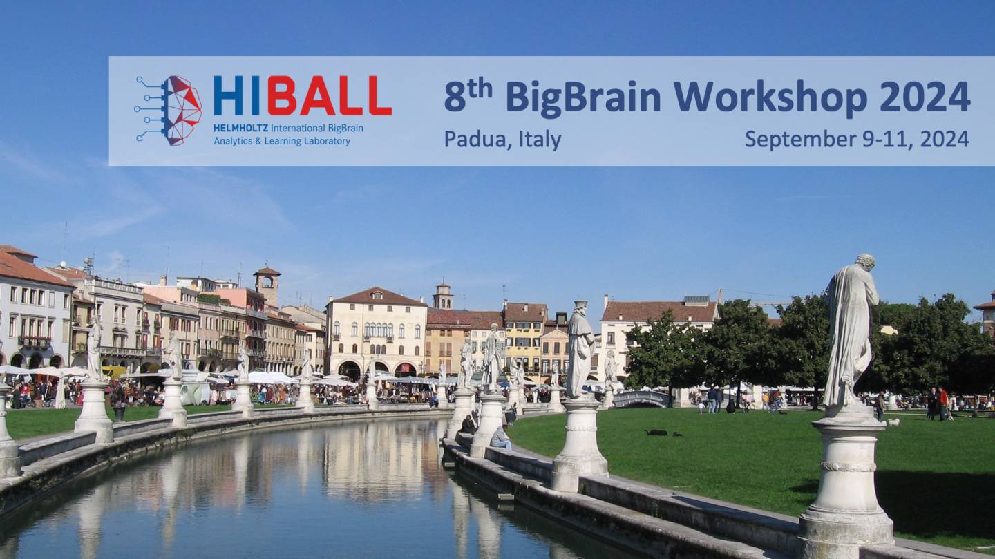 BigBrain Workshop Banner