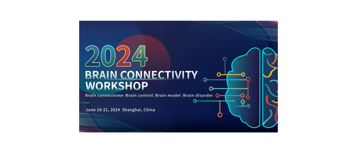 Brain Connectivity Workshop