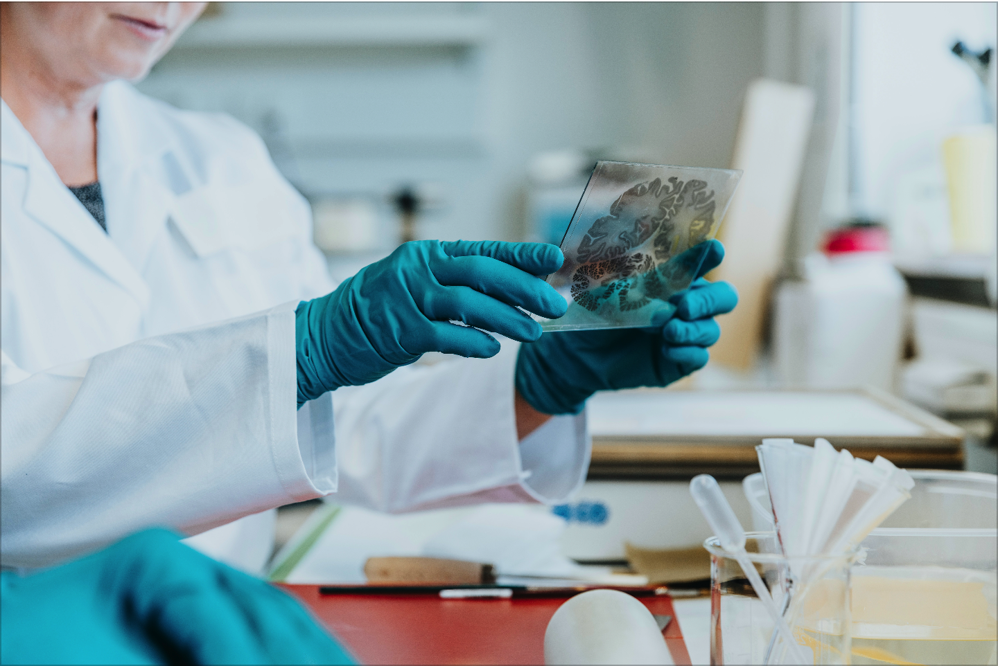 Brain Mapping Lab C Mareen Fischinger