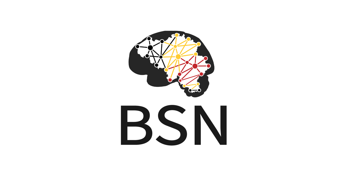 BSN Logo