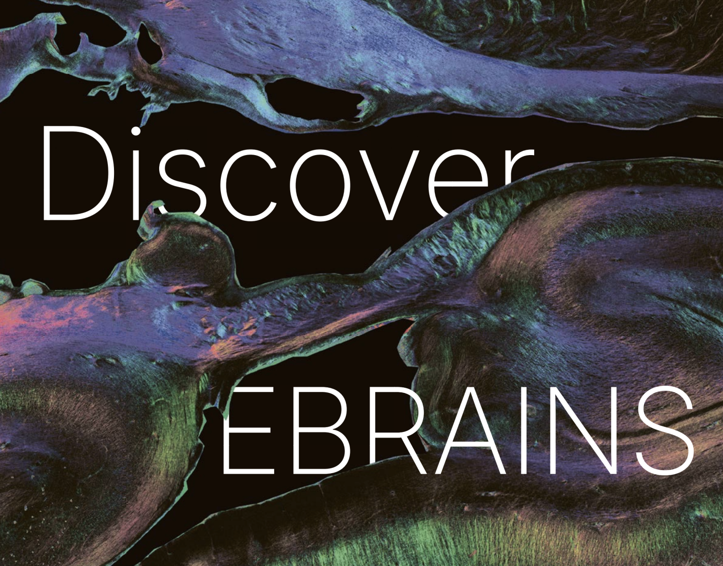 Discover EBRAINS Cover