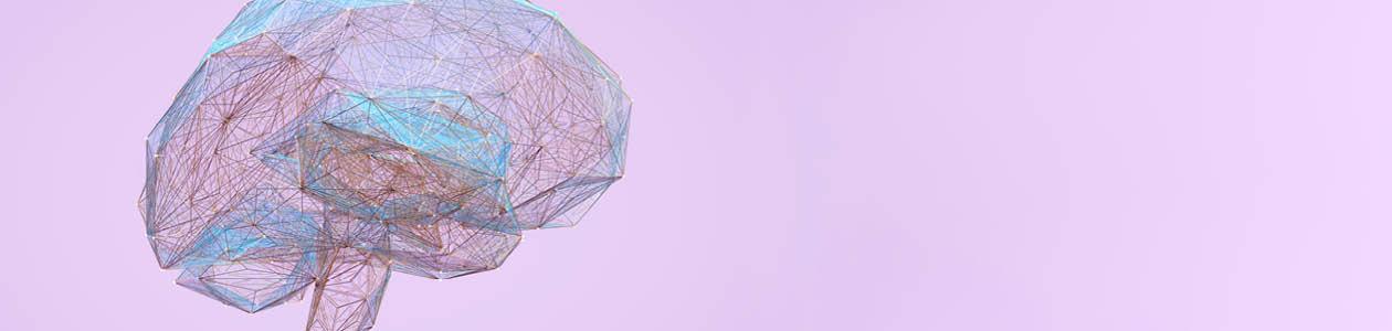 Exploring the Bidirectional Relationship Between Artificial Intelligence and Neuroscience: A Workshop