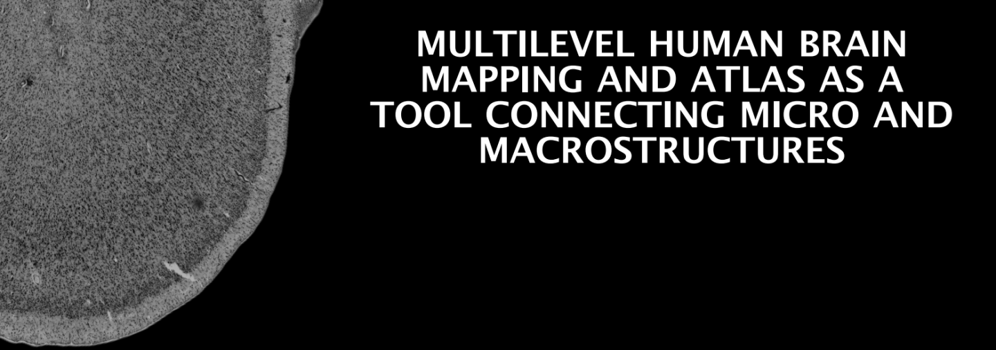 Banner for Multilevel Human Brain Mapping and Atlas as a Tool Connecting Micro and Macrostructures Event