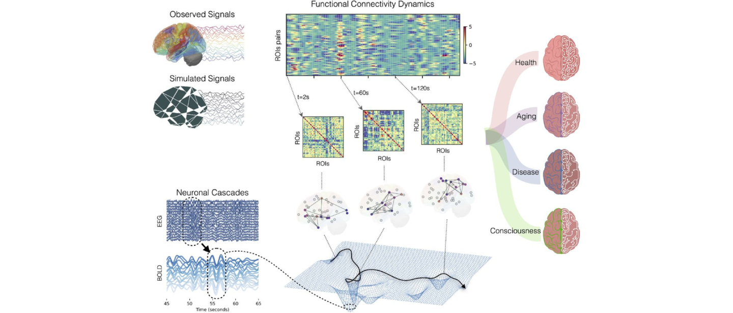 VBT of resting- and altered-states.