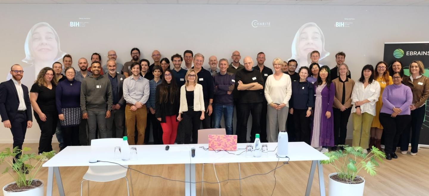 Consortium Partners at the Virtual Brain Twin Meeting, Brussels