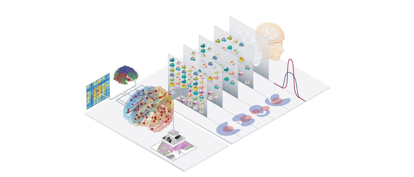 Virtual Ageing Brain Model