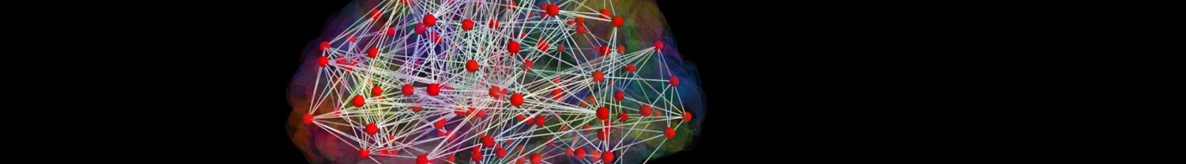 Visualization of brain network