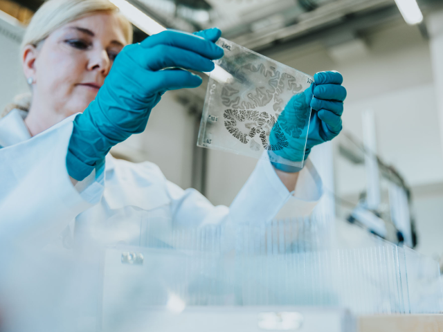 Image of a researcher at INM-1 looking at a brain slice
