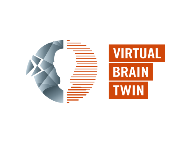 Logo for Virtual Brain Twin Project