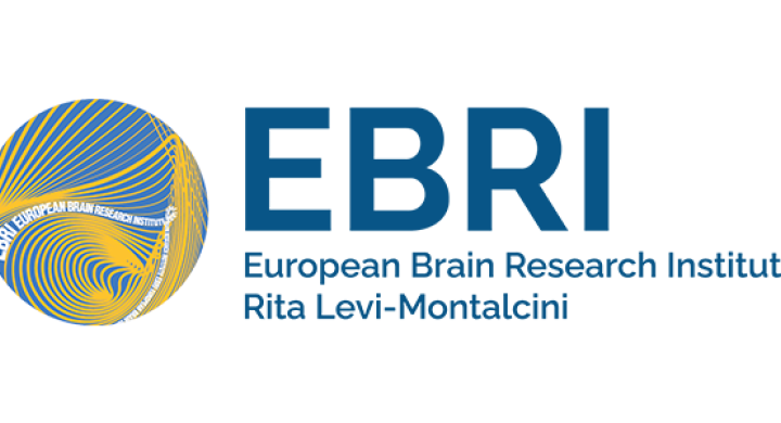 Logo of European Brain Research Institute Rita Levi-Montalcini