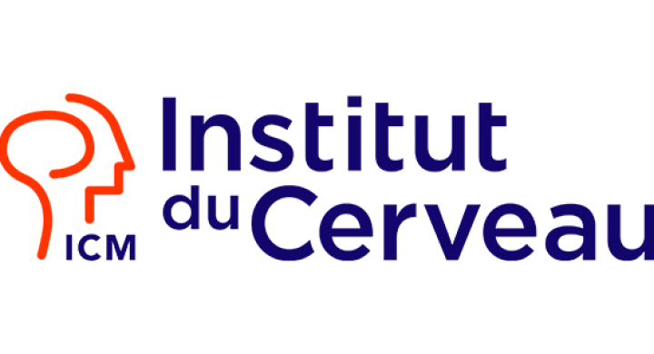 Logo of Institut du Cerveau