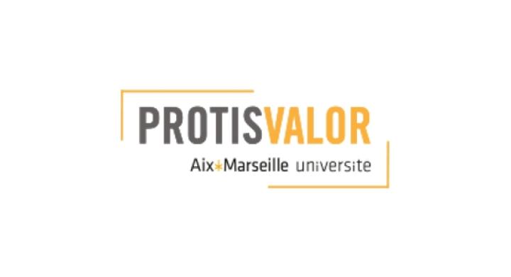 Protisvalor Logo