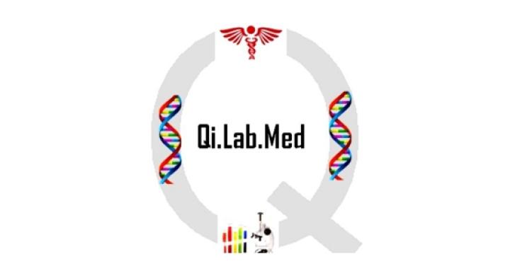 Logo of Qi.Lab.Med Srl. (University of Padova)