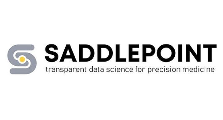 Saddlepoint logo
