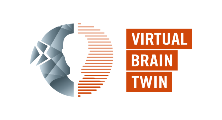 Logo for Virtual Brain Twin Project