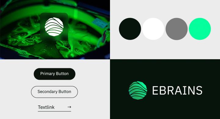 An impression of the new EBRAINS webdesign