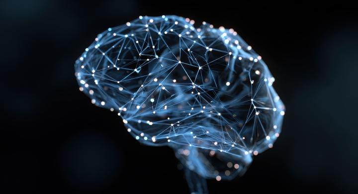 Illustration of a brain