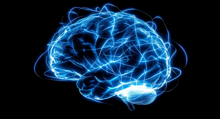 Illustration of a brain