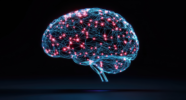 Illustration of a brain