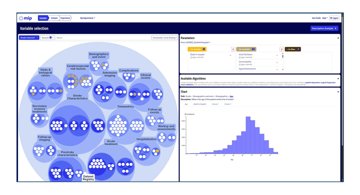 Screenshot of the MIP interface