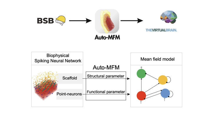 Auto-MFM Figure