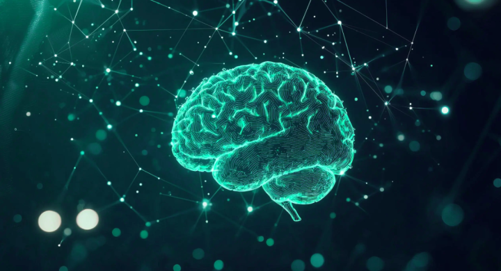 New computer model of the human cortex links regional chemistry to whole brain activity. Image: Adobe Stock