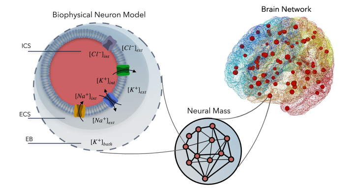 A new mean-field model