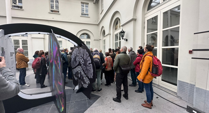 BAM! Festival Image Exhibition Tour