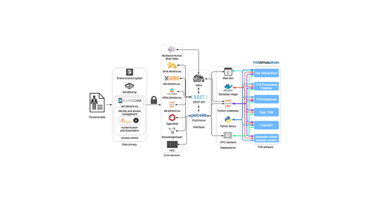 Brain simulation as a cloud service