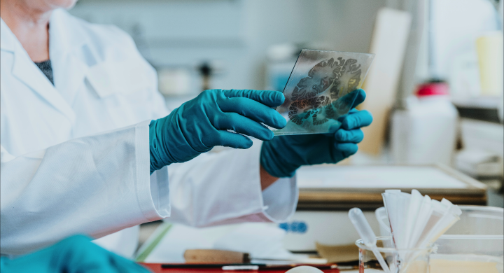 Brain Mapping Lab C Mareen Fischinger