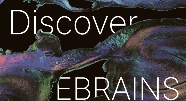 Discover EBRAINS Cover