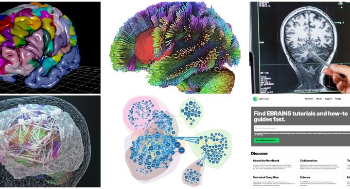 EBRAINS 2.0 Highlights