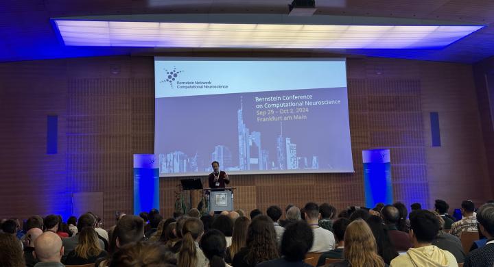 EBRAINS Bernstein Conference