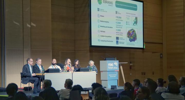 FENS Networking Event Panel