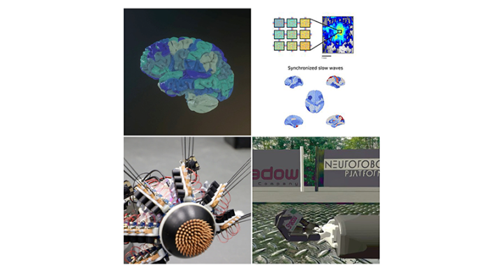 How Scientists Are Using EBRAINS