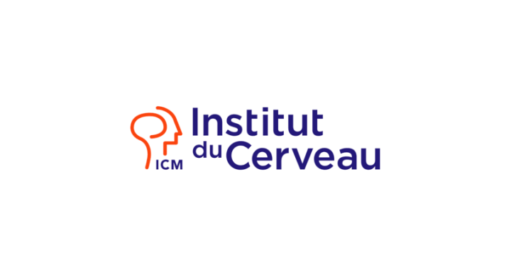 Institut du Cerveau Logo