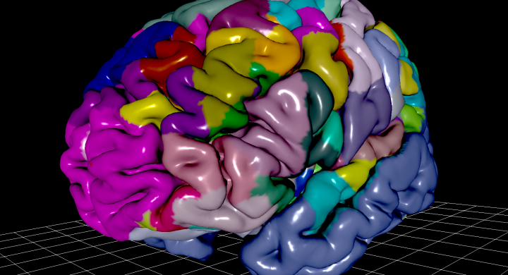 Image of the Julich Brain Atlas
