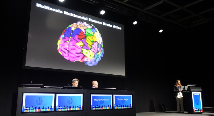 Prof. Katrin Amunts at EAN 2025