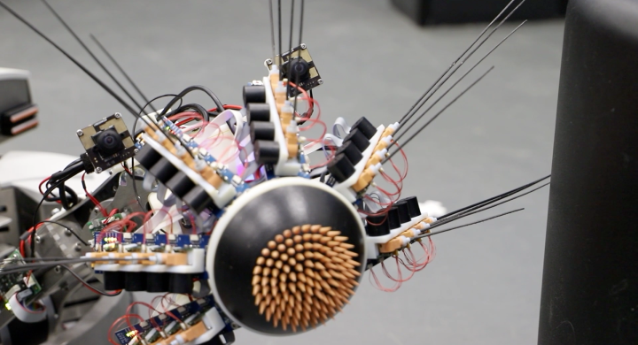 Perception And Recognition Of Objects And Scenes Image 6 5cf479bc9a